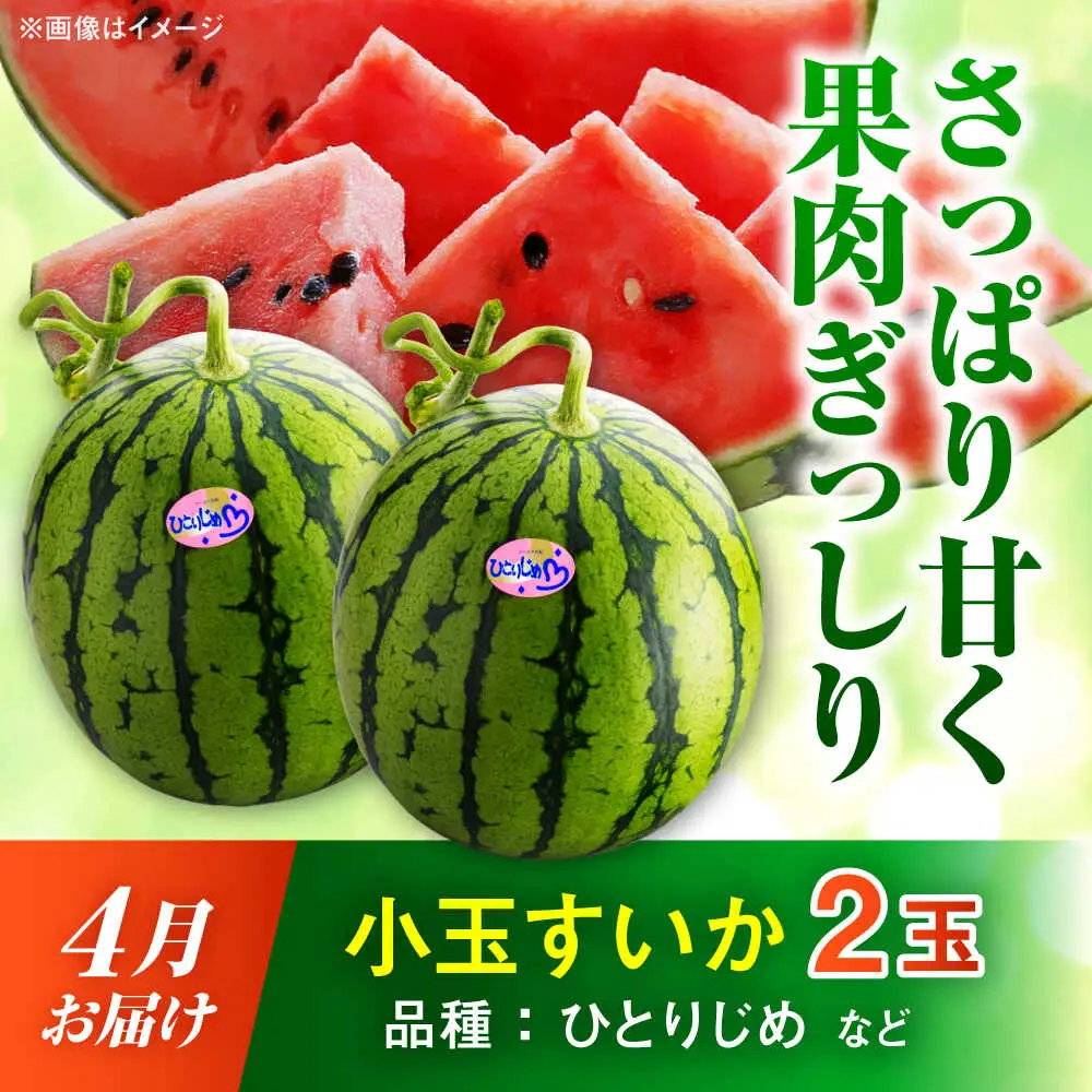 【先行予約】【2027年4月上旬より順次発送】【全3回定期便】すいか 3種 食べ比べ セット 定期便 計5玉（小玉2 大玉1 黒小玉2） スイカ[AYAB030]
