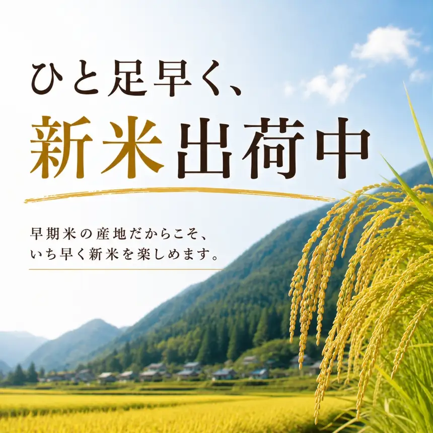 【定期便２回】令和8年産 こしひかり 5kg （無洗米） 宮崎県産