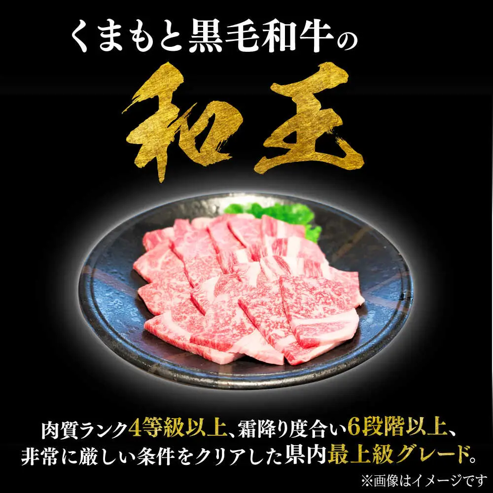 くまもと 黒毛和牛 和王 肩ロース 焼肉用 約800g（約400g×2P）ロース焼肉[AYBR027]