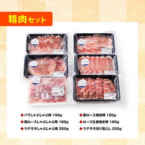 【令和8年10月発送】【いろんな料理にアレンジできちゃう満喫コース】（精肉）さんきょうみらい豚満喫セット | 豚肉