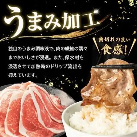 家計応援!国産 豚肉 計3kg!(300g×10P) 豚 切り落とし 小分けで便利【配送不可地域：離島】【1658904】