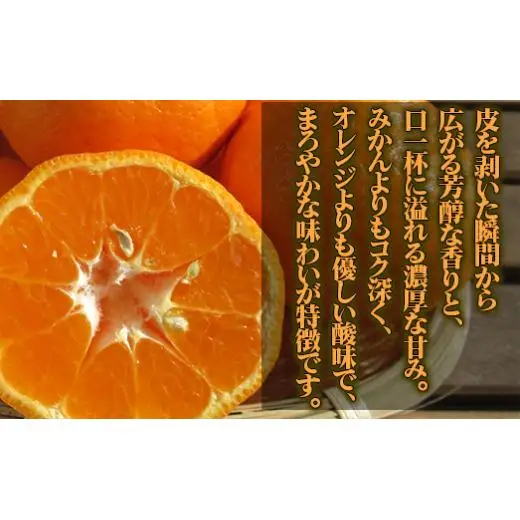 【 早期予約受付開始 】 立目産 ポンカン 10 kg 訳あり 2027年1月 下旬より順次発送 高知 須崎 KHN003