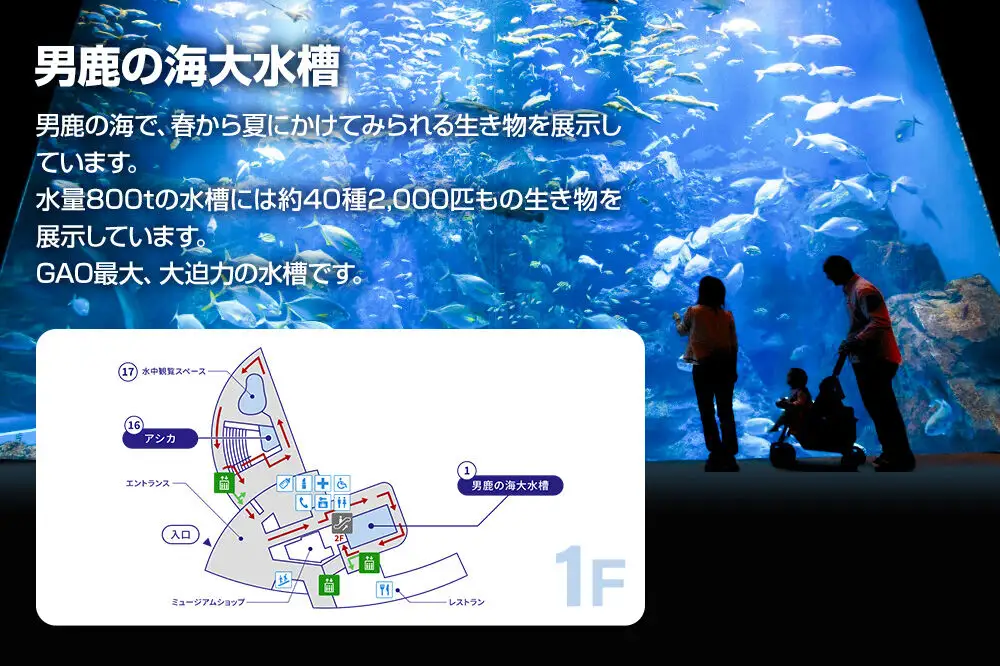 男鹿水族館GAOペア入館券 2名分 秋田県 ガオ 日本海 ペア 利用券 入場券