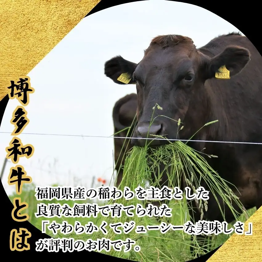 ハンバーグ 博多和牛 100% 本格 手ごね 10個 | ハンバーグ