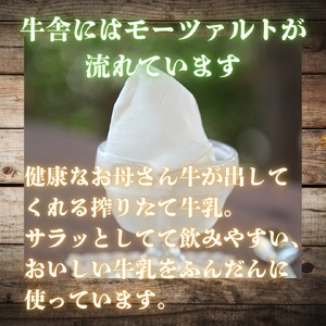 しぼりたて生乳で作った濃厚ミルクジェラート（2000ml×2個） ジェラート シャーべット アイスクリーム アイス 生乳 ミルク ジェラート 大容量 クリーミー デザート 氷菓子 スイーツ 濃厚 冷凍 パーティー 佐賀県 太良町 P117