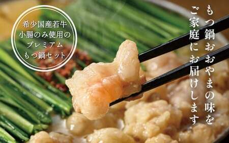 【定期便6ヶ月】博多もつ鍋おおやま みそ味2人前 CQ013