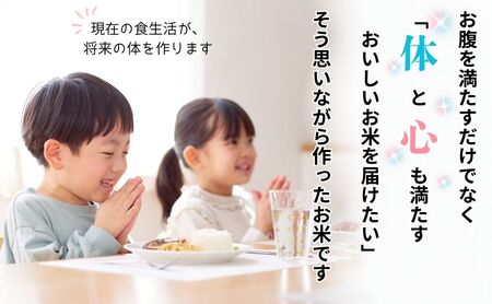 米 【5kg】 令和7年産 コシヒカリ 特別栽培米【みのり農園】7-19A