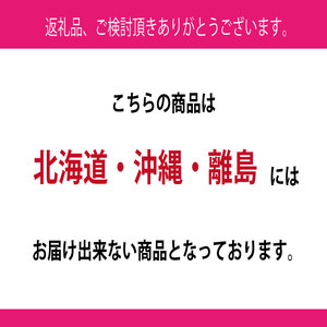 ぶどう 2026年 先行予約 9月・10月発送 シャインマスカット 晴王 1房 約700g  岡山県産 シャインマスカット