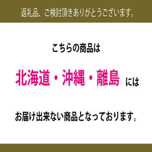 ぶどう 2026年 先行予約 9月・10月発送 高級品 シャインマスカット 晴王 2房 約1.2kg  岡山県産 シャインマスカット