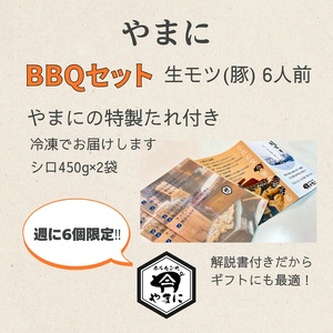 いちば屋発！やまにのモツ焼きセット 6人前 もつ焼き もつ モツ 豚 シロ セット BBQ バーベキュー 冷凍 やまに 新潟 魚沼市