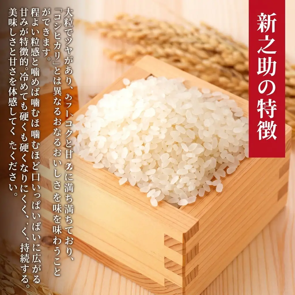上越産 特別栽培米 新之助 20kg おにぎり 新之助