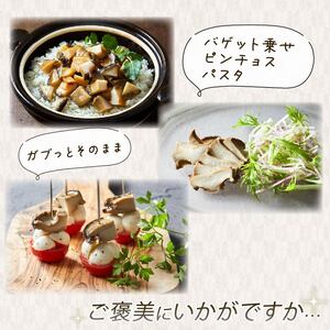 訳あり あわび4個 (メキシカンチリスープ風+白ワイン煮風)各2個セット