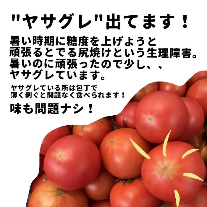 フルーツトマト 1kg 高知県産 個性派 産地直送