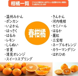 柑橘詰め合わせセット 家庭用４種以上 約4kg 和歌山産≪先行予約2027年1月下旬頃より順次発送分≫【1199-1】