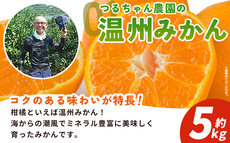 【予約受付】＜西予の美味しい柑橘セレクト（ご家庭用）／つるちゃん農園のみかん（約5kg）＞【11月頃から2027年1月中旬頃までに順次出荷予定】 果物 くだもの フルーツ 蜜柑 みかん ミカン 柑橘 ご家庭用 温州みかん 食べて応援 国産 愛媛県産 特産品 西予みかん倶楽部 愛媛県 西予市【常温】OMC0007