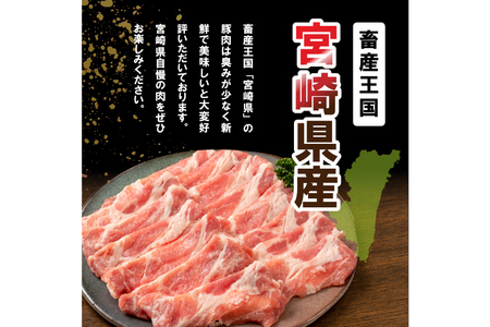 豚肉 詰め合わせ 宮崎県産豚肉 バラエティ セット 5種 4kg