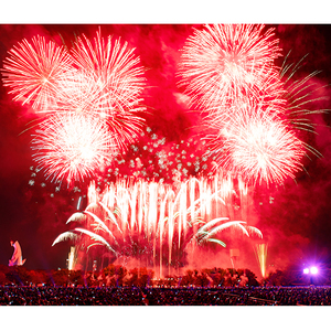 【66-07】第5回 万博夜空がアートになる日 花火鑑賞チケット パノラマシート ペアチケット（大人2名様分）