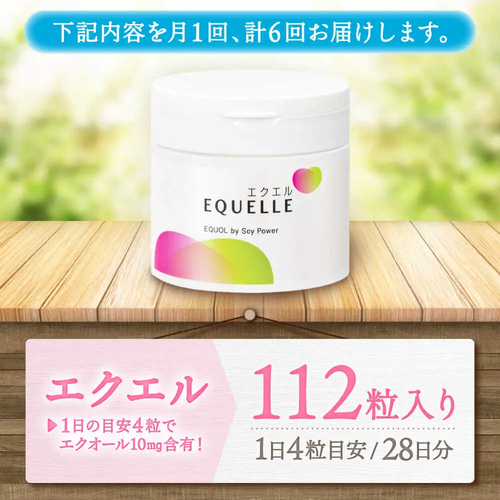 6回定期便 サプリメント エクエル 28日分 サプリ 大塚製薬[FDT003]