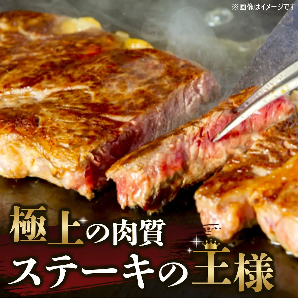 佐賀牛 サーロインステーキ1枚 柔らかハンバーグステーキ4個(H122129)