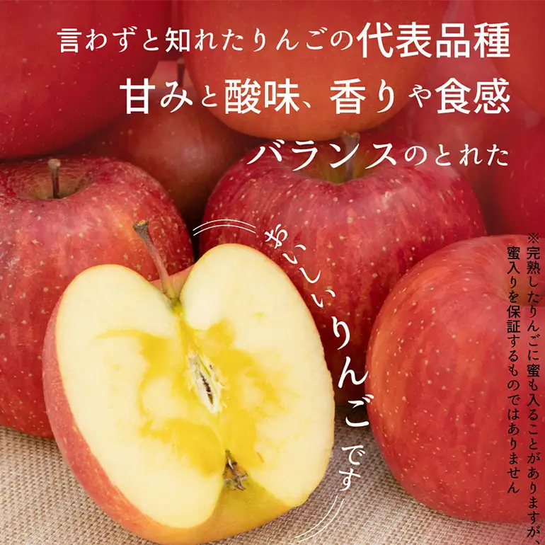 【訳あり】 サンふじ 約5kg 家庭用 053-0750x1