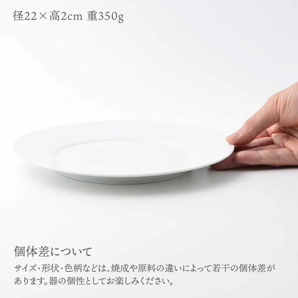 【波佐見焼】【essence】agasuke プレート 〈22cm〉 2点【西海陶器】[OA448]