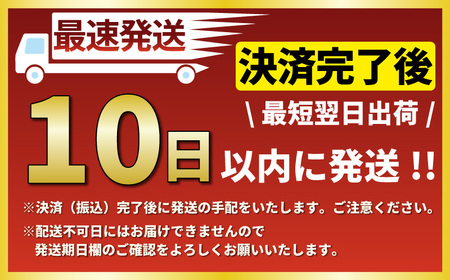 【Reg-On Diner 食事券 3000円分】 ハンバーガー 江の島 食事券