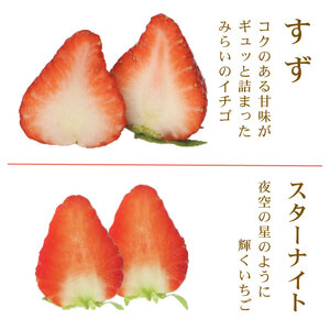 いちご 【期間限定】 ベリーポップすず スターナイト 500g | いちご