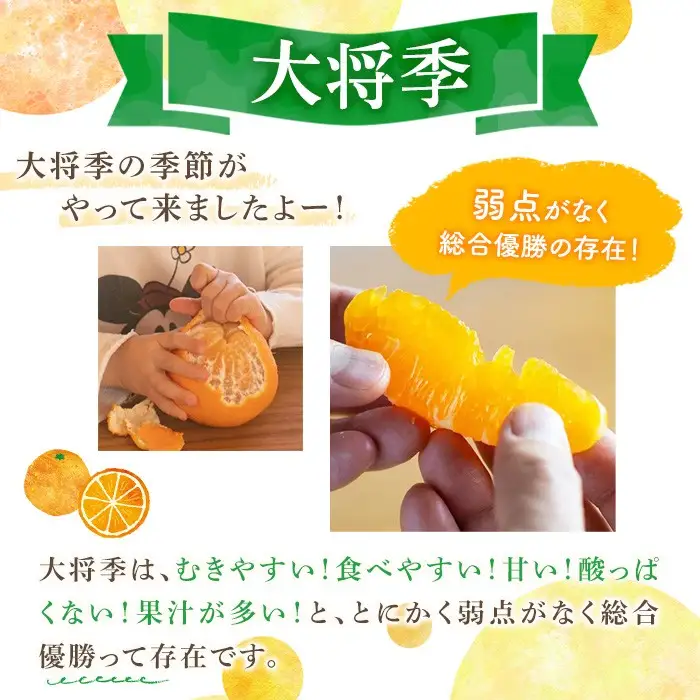 ＜先行予約受付中！2027年1月中旬以降順次発送予定＞数量限定！大将季 (12個・2Lサイズ) 柑橘 フルーツ 果物 国産 みかん 期間限定 不知火 しらぬい シラヌイ ミカン 【株式会社土曜日】akn069-08