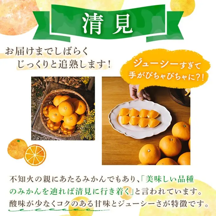 ＜先行予約受付中！2027年3月中旬以降順次発送予定＞数量限定！鹿児島県産 清見 (20個・2L) 柑橘 フルーツ 果物 国産 みかん 期間限定 きよみ キヨミ ミカン【株式会社土曜日】akn069-09