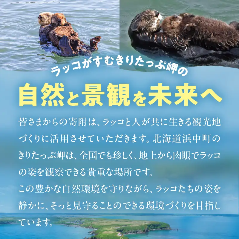 ラッコを見守る岬「きりたっぷ岬」周辺の環境整備　10000円分 返礼品なし_H0028-012