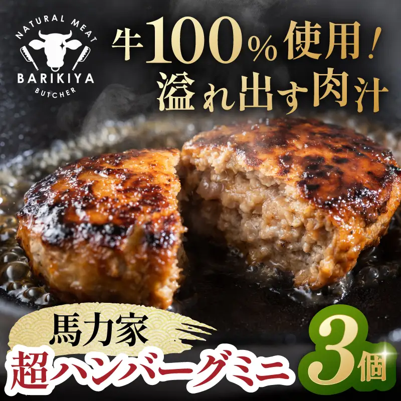 超ハンバーグミニ　3個【0110-017】 飛騨牛