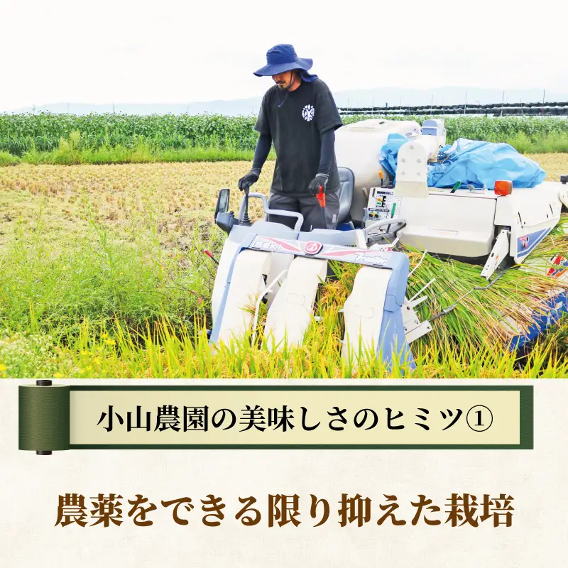 令和7年産 ヒノヒカリ 5kg 白米 宇治 ごはん 白米 お米 米 コメ こめ はくまい 宇治 ごはん ひのひかり 一等品 京都府産 京都 京都府 ふるさと納税米 数量限定
