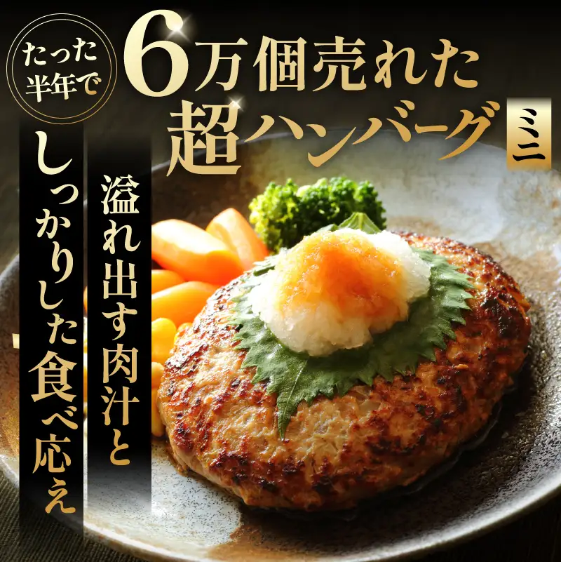超ハンバーグミニ　5個【0110-018】 飛騨牛
