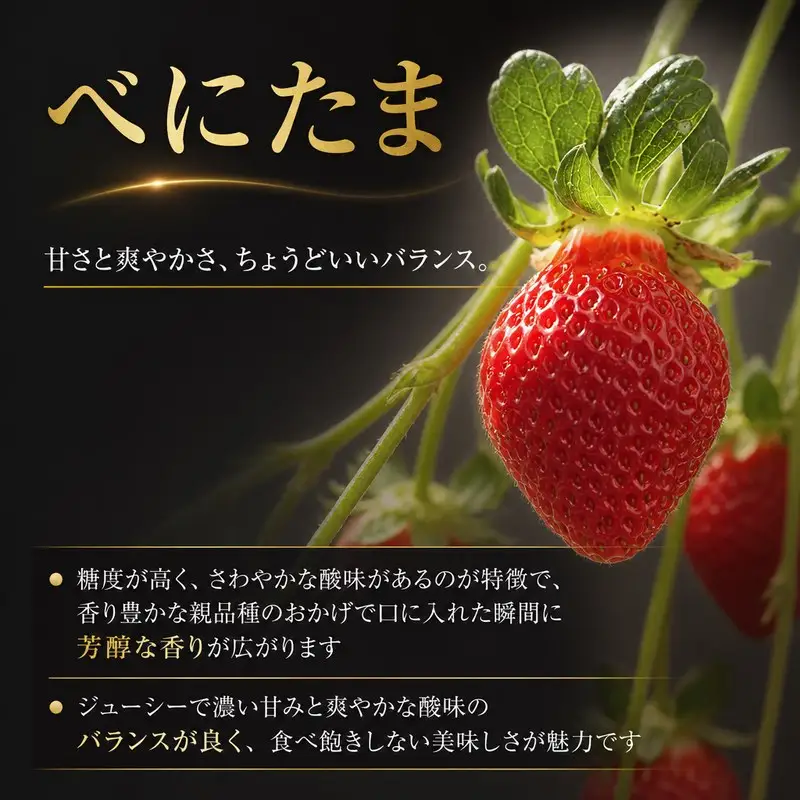 【予約】苺 べにたま 250g×2 500g いちご 苺
