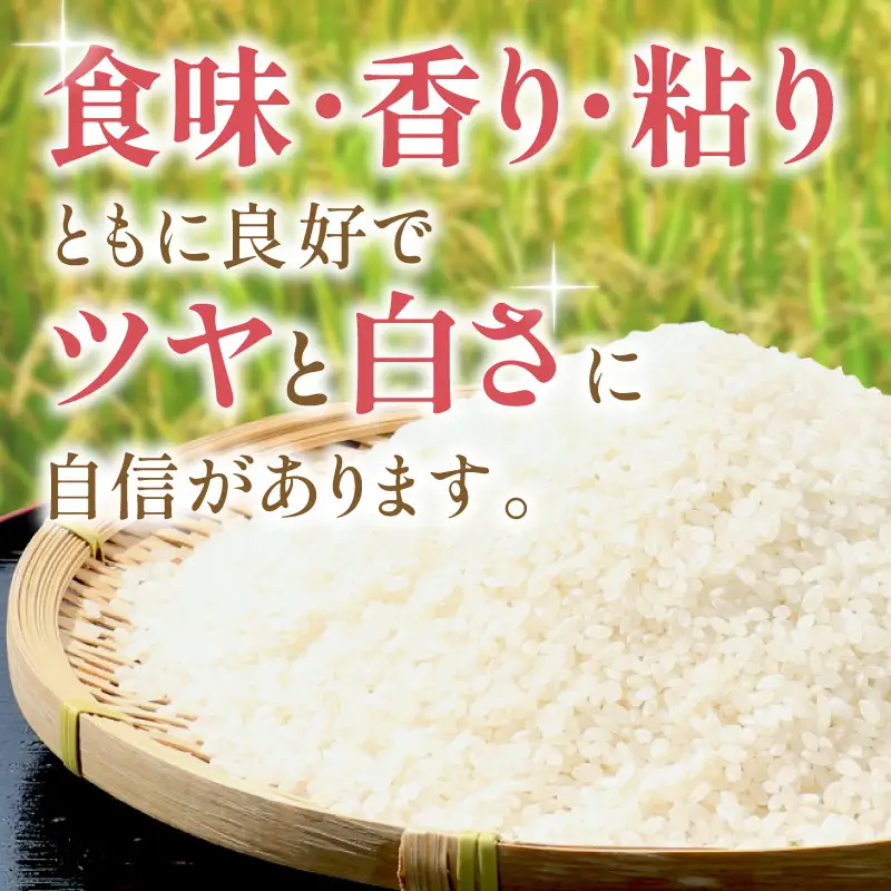 【令和7年産】石見産　きぬむすめ　10kg 米 お米 きぬむすめ 精米 白米 玄米 ごはん お取り寄せ 特産 10キロ 10kg 【058_1847】