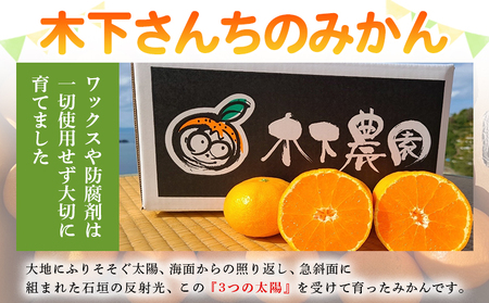＜木下さんちのみかん 訳あり 約5kg（2S～2Lサイズ混合）＞ 選べる わけあり 家庭用 柑橘 温州みかん うんしゅうみかん ミカン 蜜柑 果物 くだもの フルーツ 国産 特産品 木下農園 愛媛県 西予市【常温】『2026年11月中旬?12月下旬迄に順次出荷予定』MKS0005