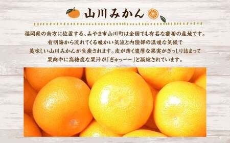 A157 福岡県山川産 塩みかん 5kg 【2026年11月上旬～12月下旬発送予定】 蜜柑 花藻塩