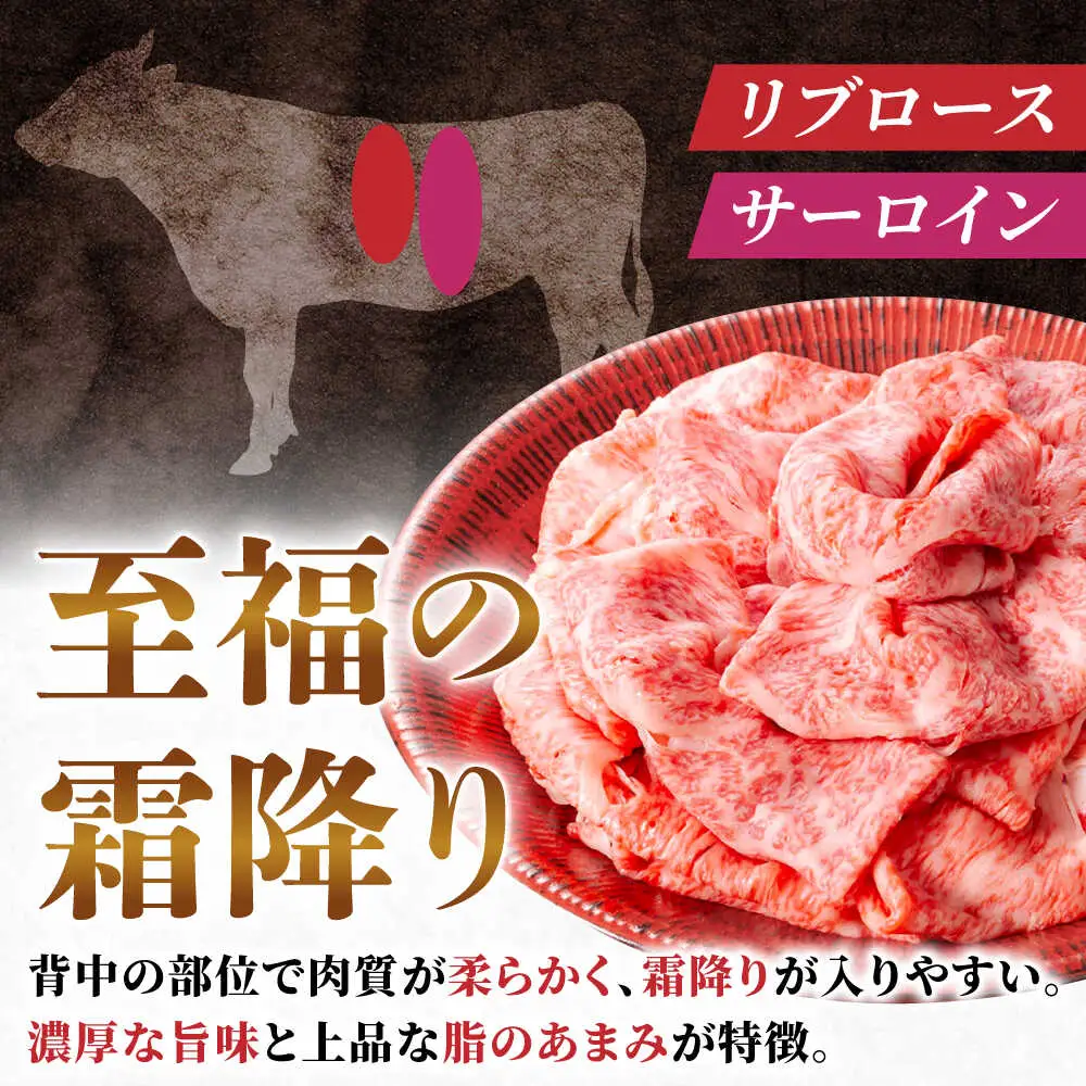 【12回定期便】飛騨牛サーロイン・リブロース 400g×1パック すき焼きしゃぶしゃぶ用肉 [AVBO023]