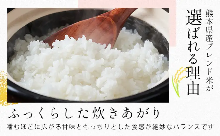 【3ヶ月定期便】肥後うまか米 10kg 無洗米