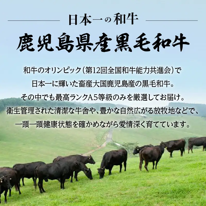 ＜お試し＞A5等級 鹿児島県産 黒毛和牛 赤身 焼肉 400g K002-051_04 肉 牛肉 冷凍