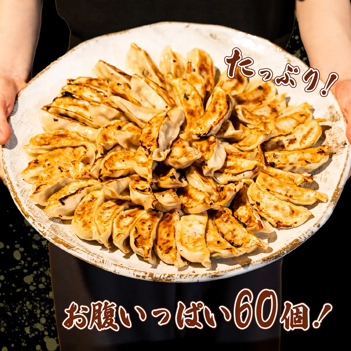 餃子 60個 ブランド豚 餃子