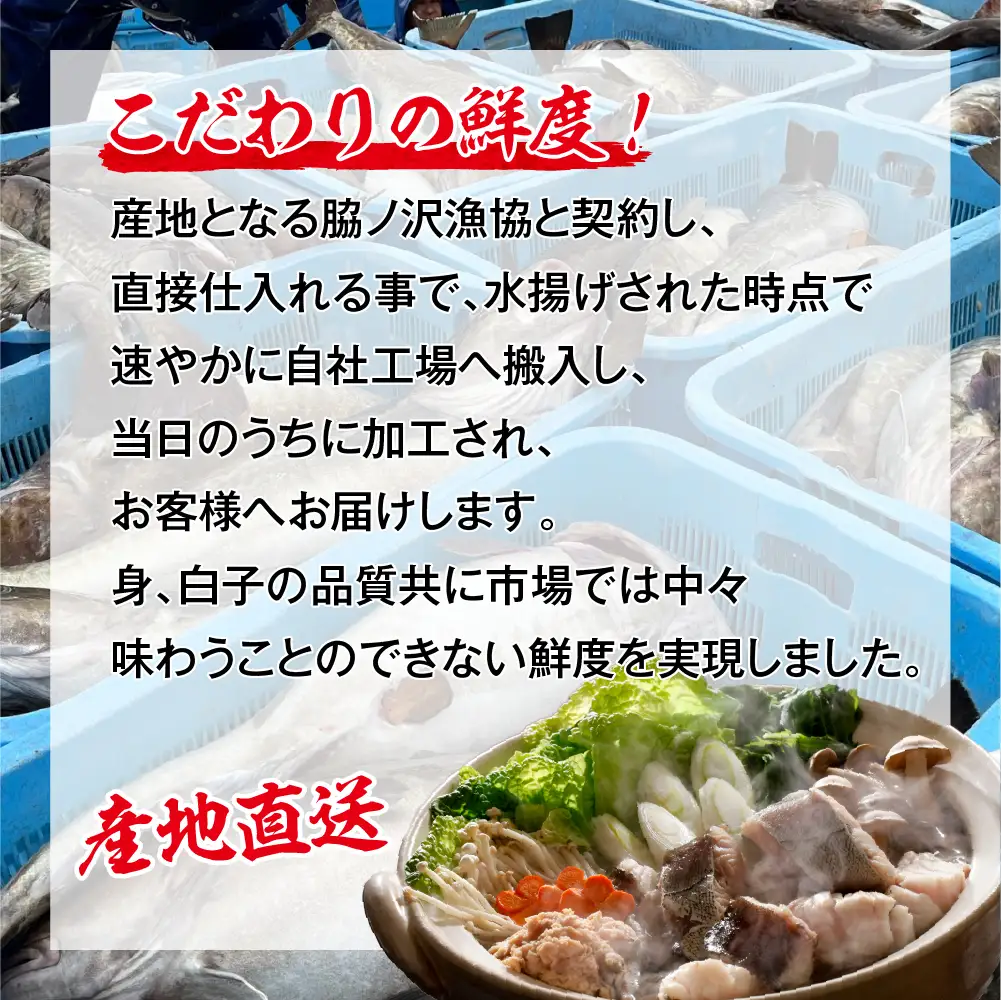 捌いてお届け! 手間いらず！　青森県むつ市　脇野沢産 寒タラ鍋お試しセット