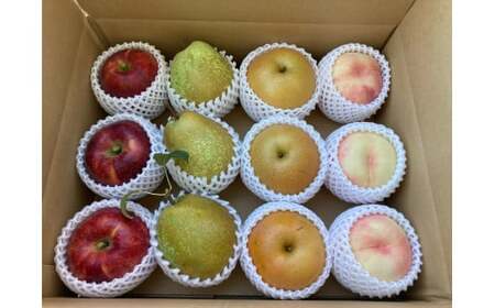 【先行予約 / 10月発送】 おまかせ フルーツ詰合せ 約5kg (目安：4～5種程度) 梨 りんご 洋ナシ ゆず 他