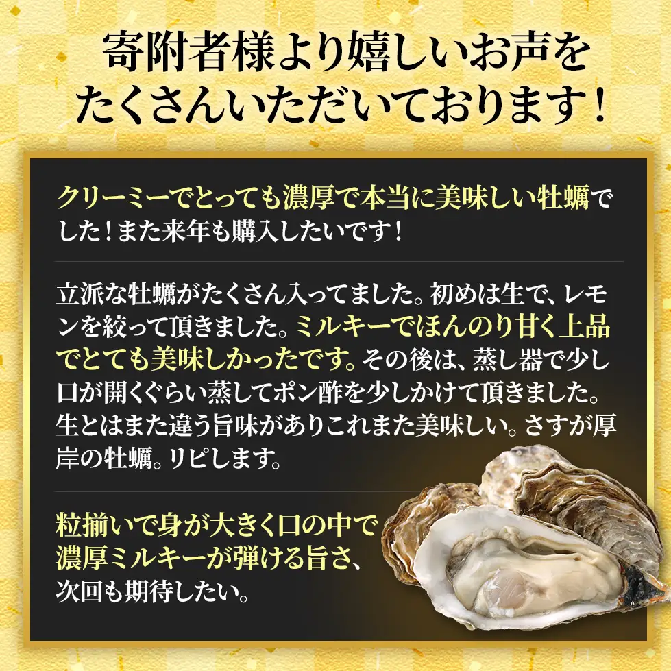 北海道厚岸産 生食用 殻付カキ 3Lサイズ  12個　マルえもん 魚貝類 海の幸 海のミルク 海鮮 国産 北海道産 オイスター つまみ お酒 あて 肴 生牡蠣 メルマガ掲載商品1