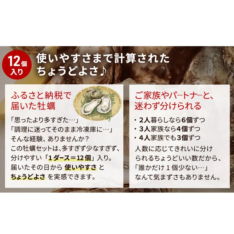 【 3ヵ月 定期便 】 北海道厚岸産 生食用 殻付カキ 3Lサイズ  12個　マルえもん 魚貝類 海の幸 海のミルク 海鮮 国産 北海道産 オイスター つまみ お酒 あて 肴 生牡蠣 メルマガ掲載商品1