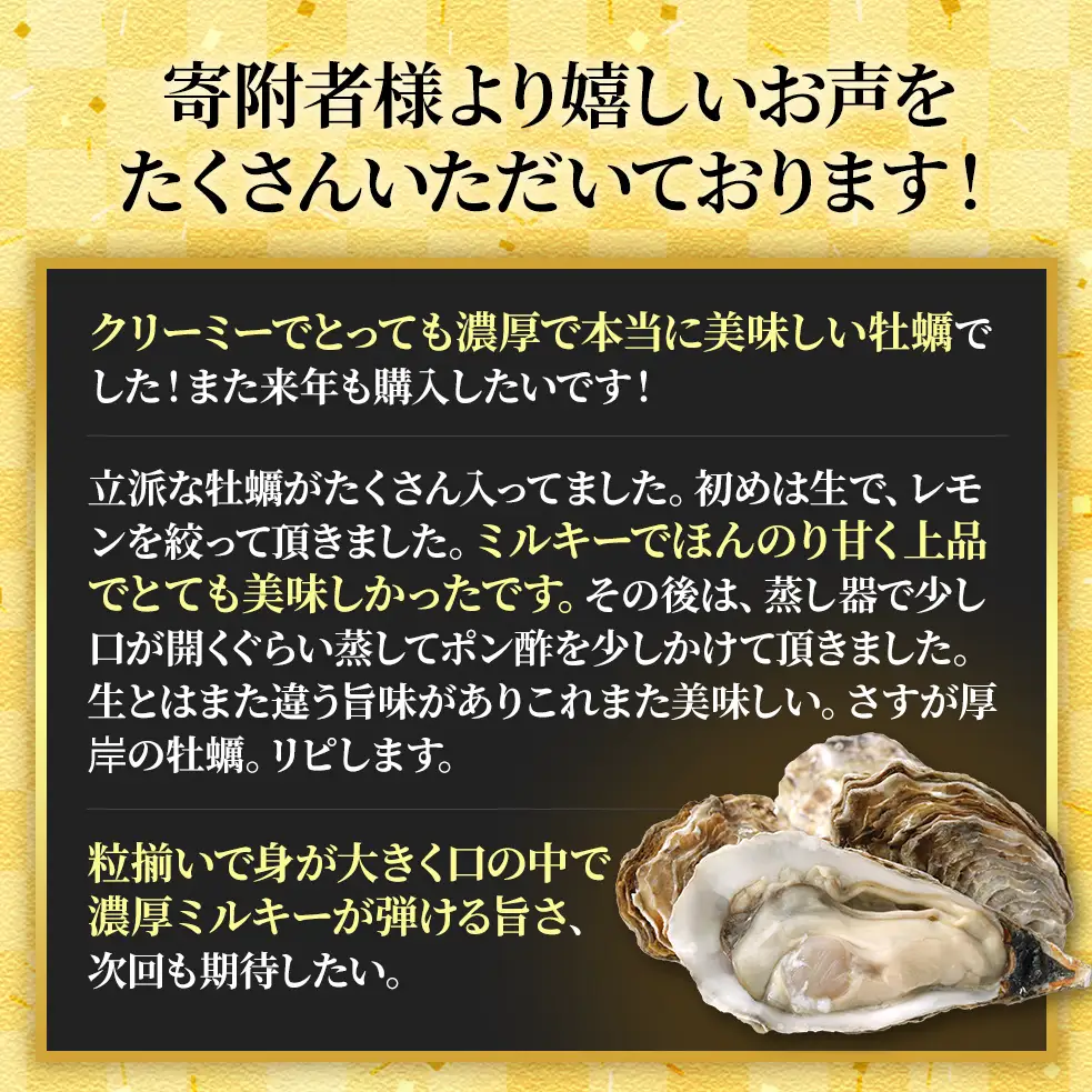 【 3ヵ月 定期便 】 北海道厚岸産 生食用 殻付カキ LLサイズ  12個　マルえもん 魚貝類 海の幸 海のミルク 海鮮 国産 北海道産 オイスター つまみ お酒 あて 肴 生牡蠣 メルマガ掲載商品1
