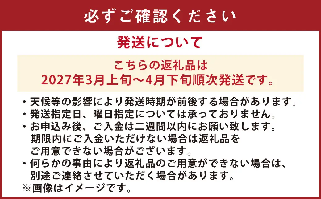 【先行受付】【数量限定】あまくさ晩柑 約9kg 晩柑 柑橘 フルーツ 果物 熊本県 上天草市【2027年3月上旬～4月下旬順次発送】