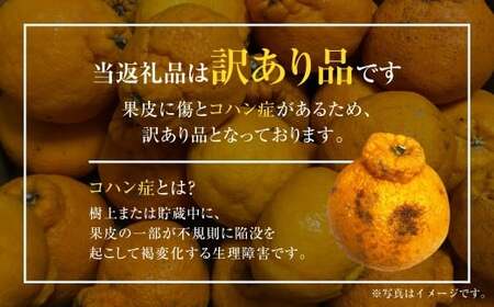 【先行受付】【数量限定】【訳あり】不知火 約5kg 訳あり 訳アリ 柑橘 フルーツ 果物 果実 くだもの みかん 蜜柑 ミカン 九州産 熊本県 上天草市【2027年2月下旬～3月下旬順次発送】