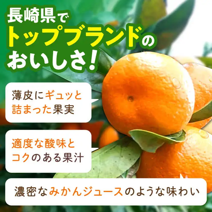 伊木力温州みかん 5kg AHBD003 みかん