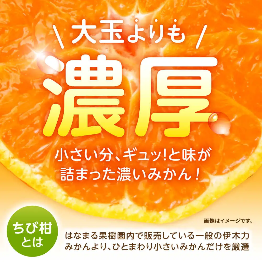 ※【2026年10月下旬より順次発送／先行予約】伊木力みかん(ちび柑) 5kg / みかん s みかんsサイズ ミカン 蜜柑 柑橘 フルーツ ふるーつ 果物 くだもの / 諫早市 / 山野果樹園 [AHCF013]